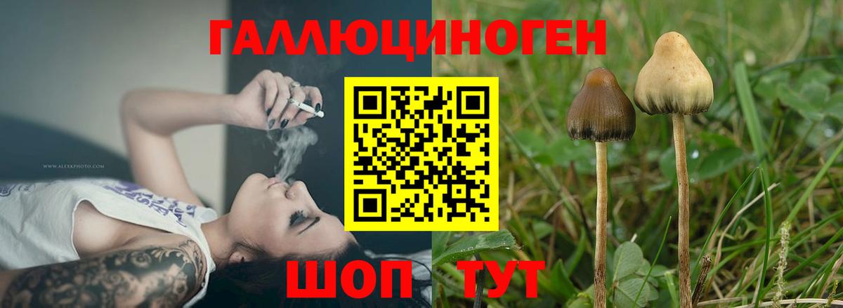 Псилоцибиновые грибы GOLDEN TEACHER  наркошоп  Вход с VPN  Фролово  Псилоцибиновые грибы ЛСД 